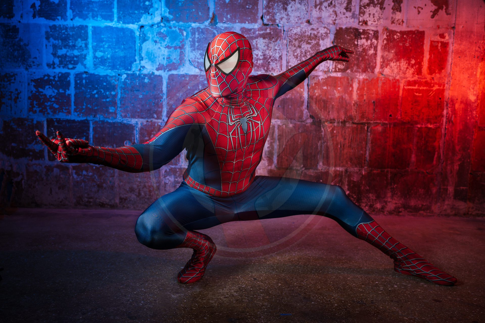 Spider Raimi Costume Suit - Image 2