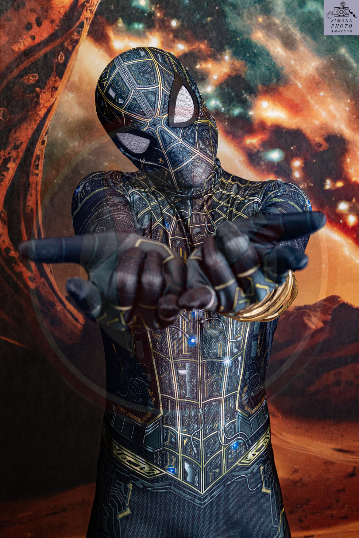 Spider NWH Black and Gold - Image 4